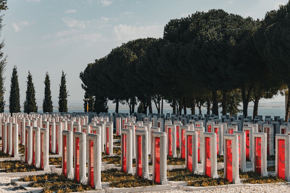 Cruisen op de Dardanellen