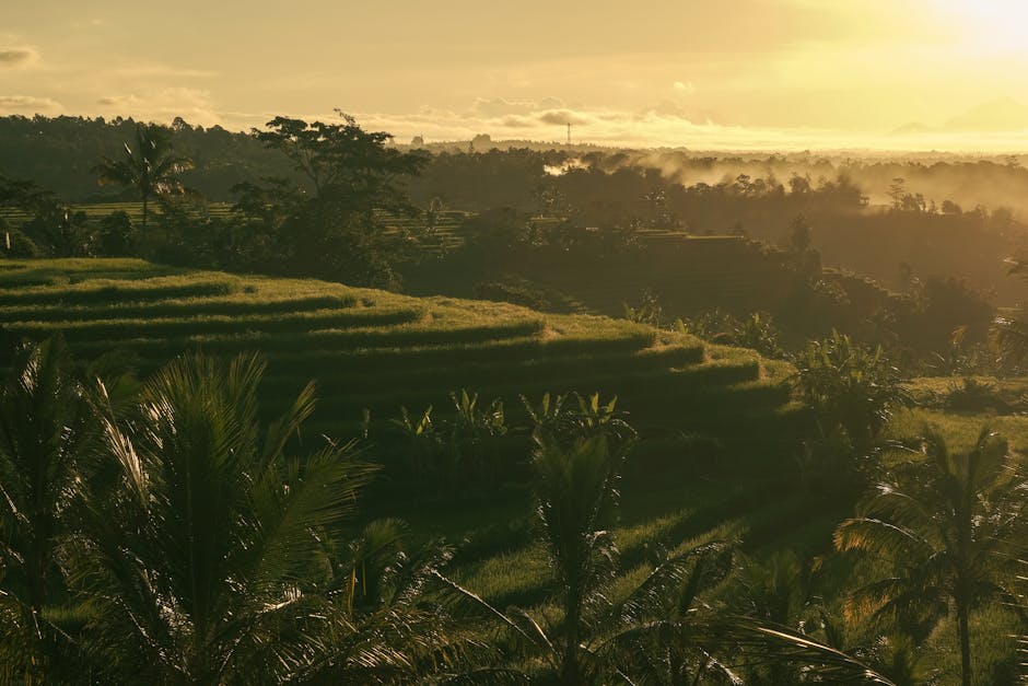 Gerokgak, Indonesië