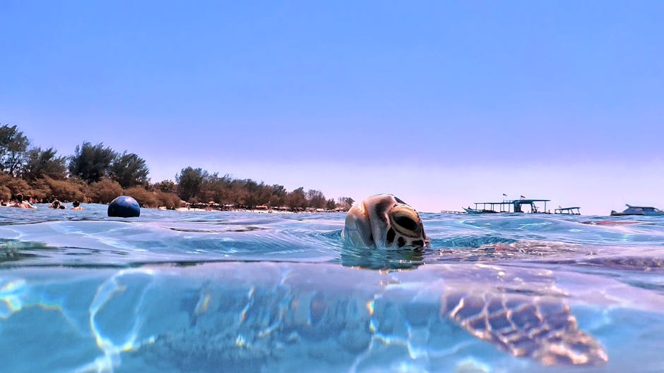 Gili eilanden
