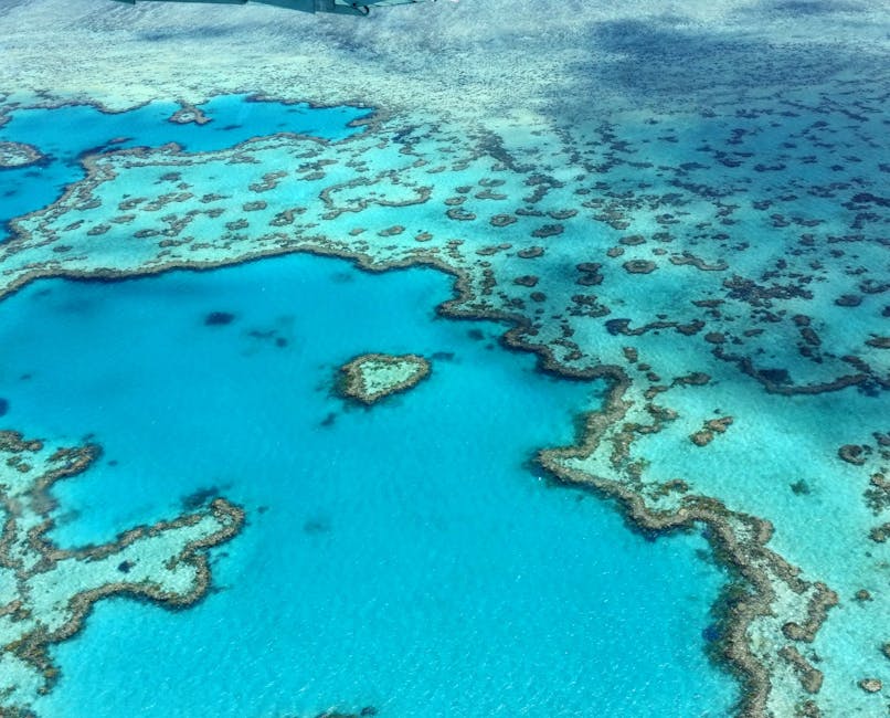 Australië & Nieuw Zeeland