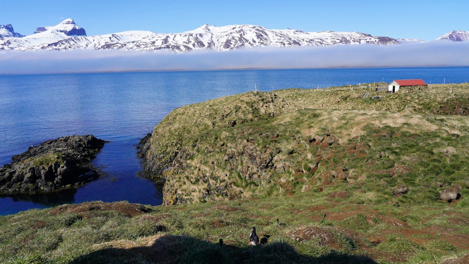 Grimsey