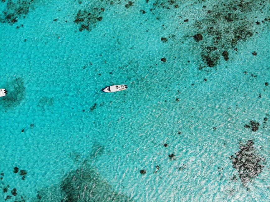 Harvest Cay, Belize