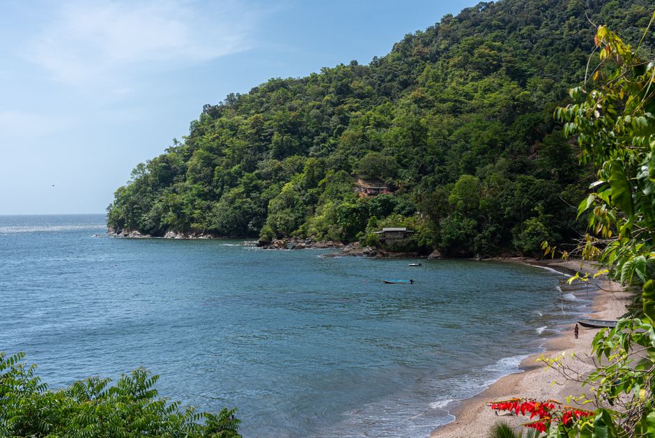Isla Aguja
