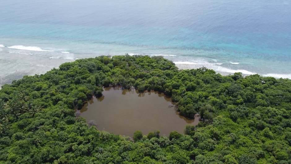 Kapingamarangi