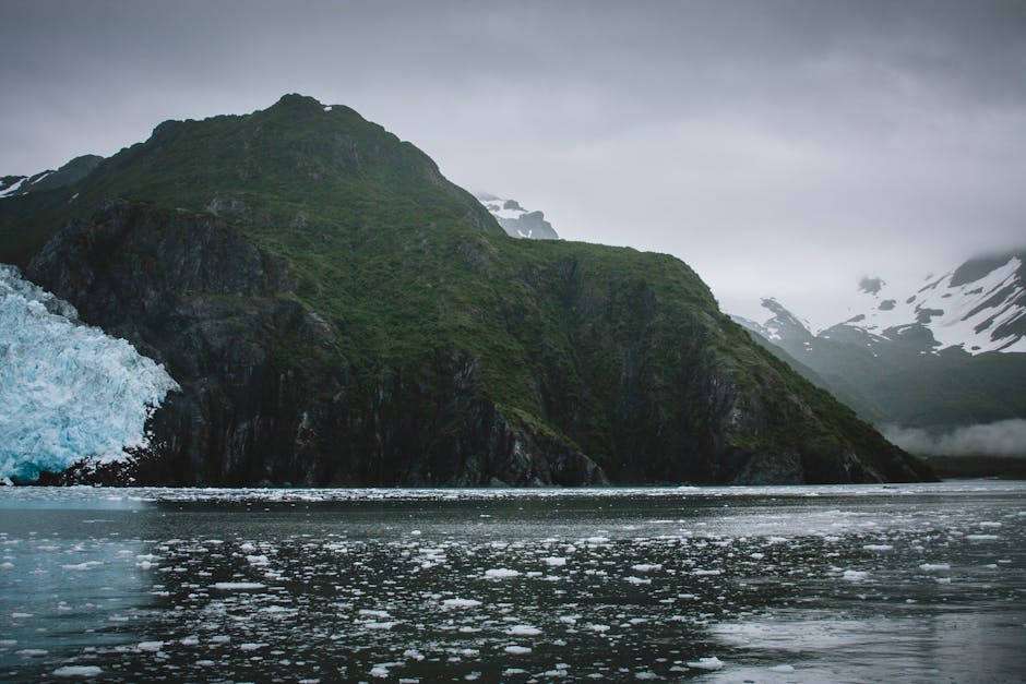 Koning Oscarfjord