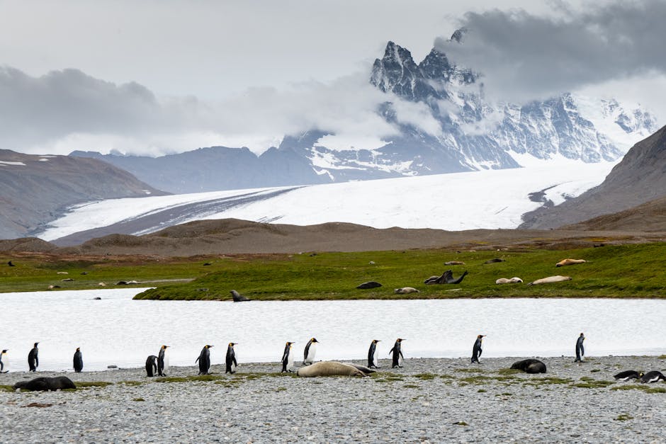 King William Island