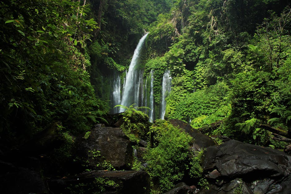 Lombok (lembar), Indonesië