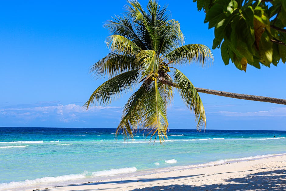 Montego Bay (MBJ), Jamaica