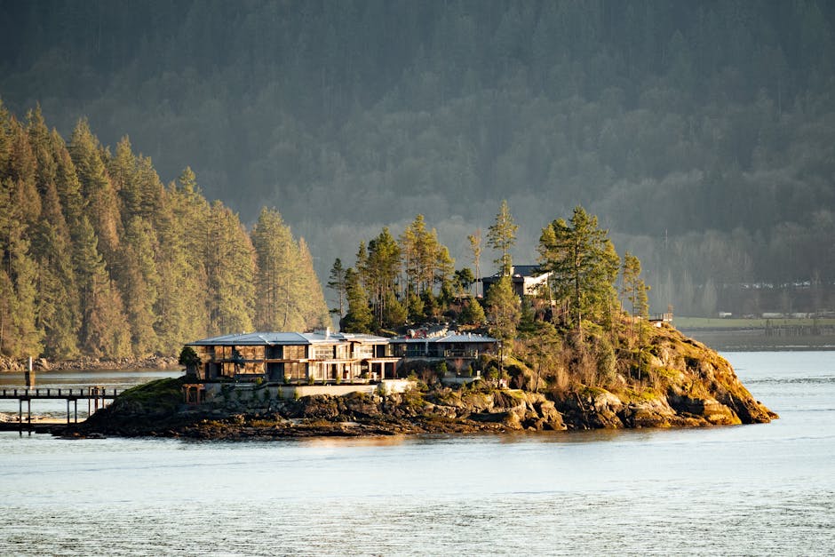 New Island