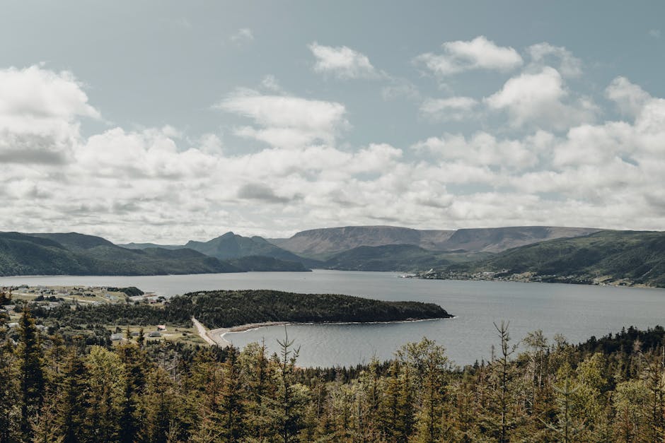 Norris Point