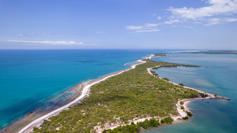 Northwest Point (Great Inagua)