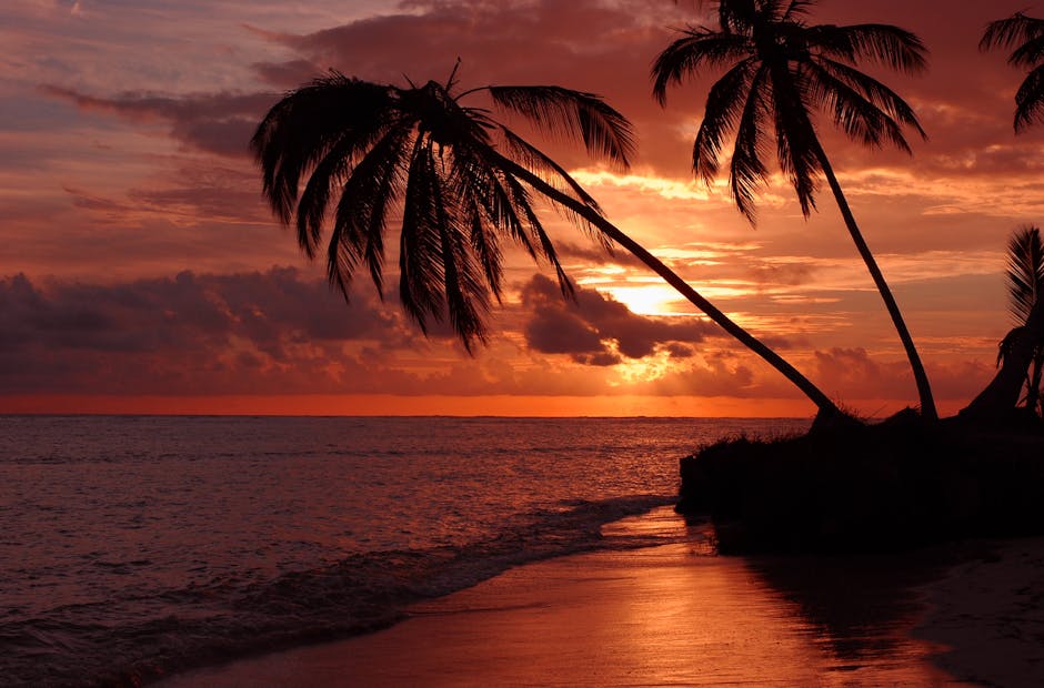 Palmerston eiland