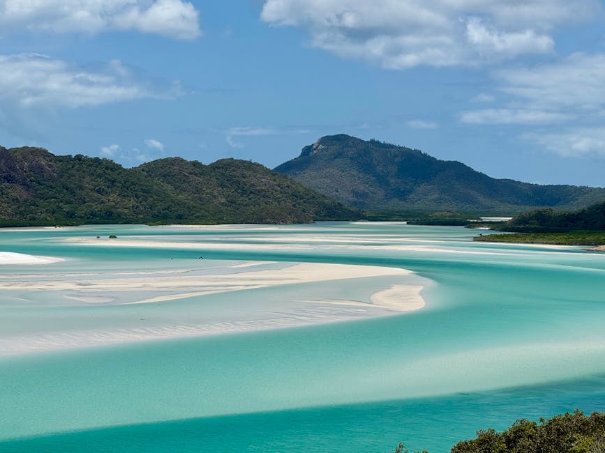 Pioneer Bay (Airlie Beach)
