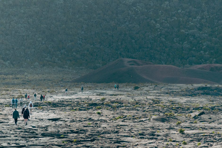 Pointe des Galets, Réunion