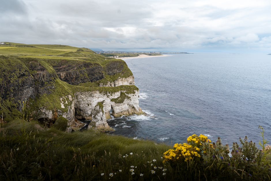 Portrush