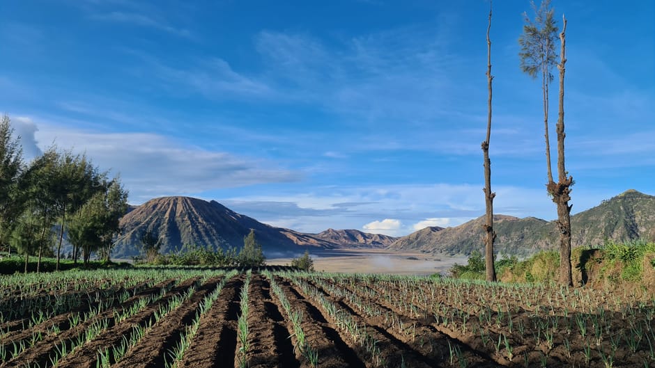 Probolinggo, Indonesië