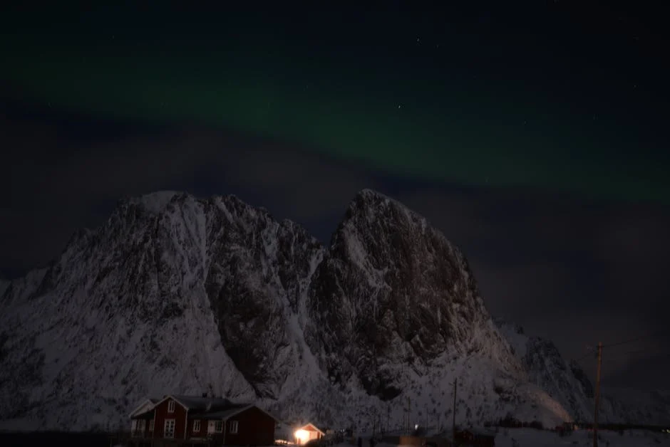 Reine