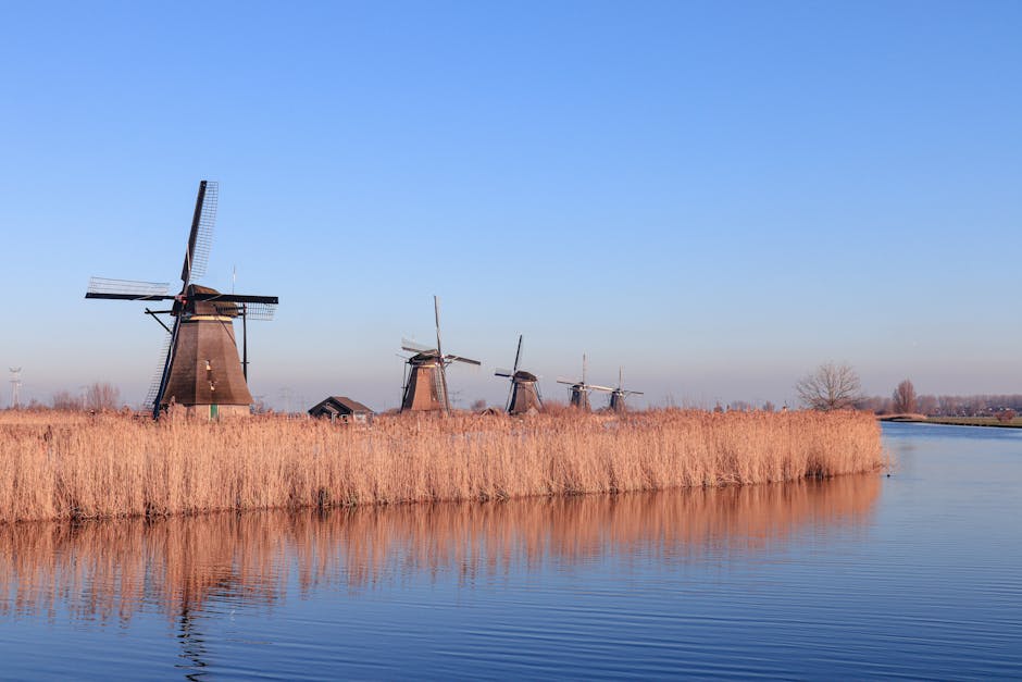 Rijncruise