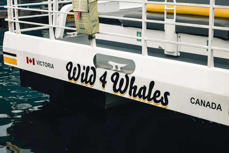 Whale Channel (doorvaart)