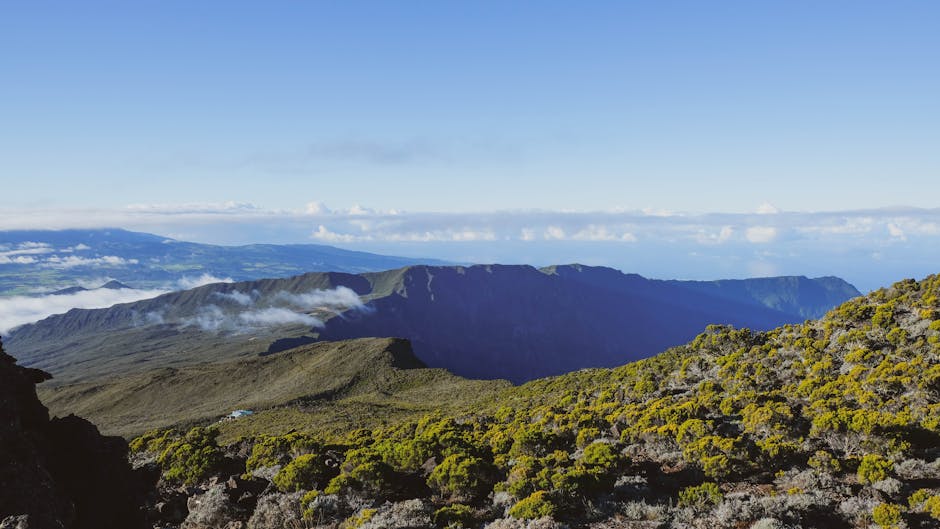 Saint-Paul, Réunion