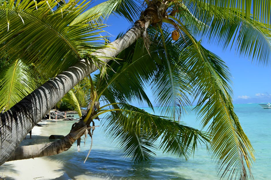 Society-eilanden, Frans-Polynesië