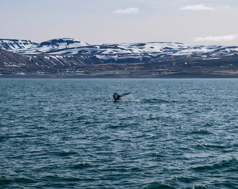 Umivik Bay