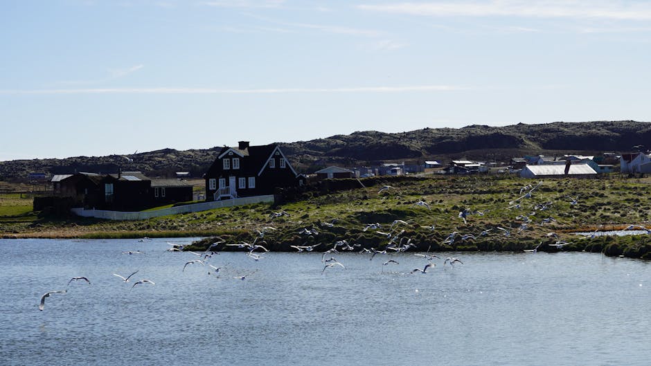 Vigur, IJsland
