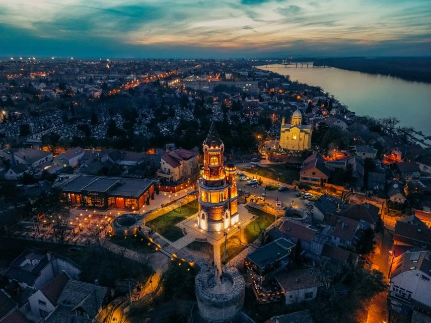 Vidin